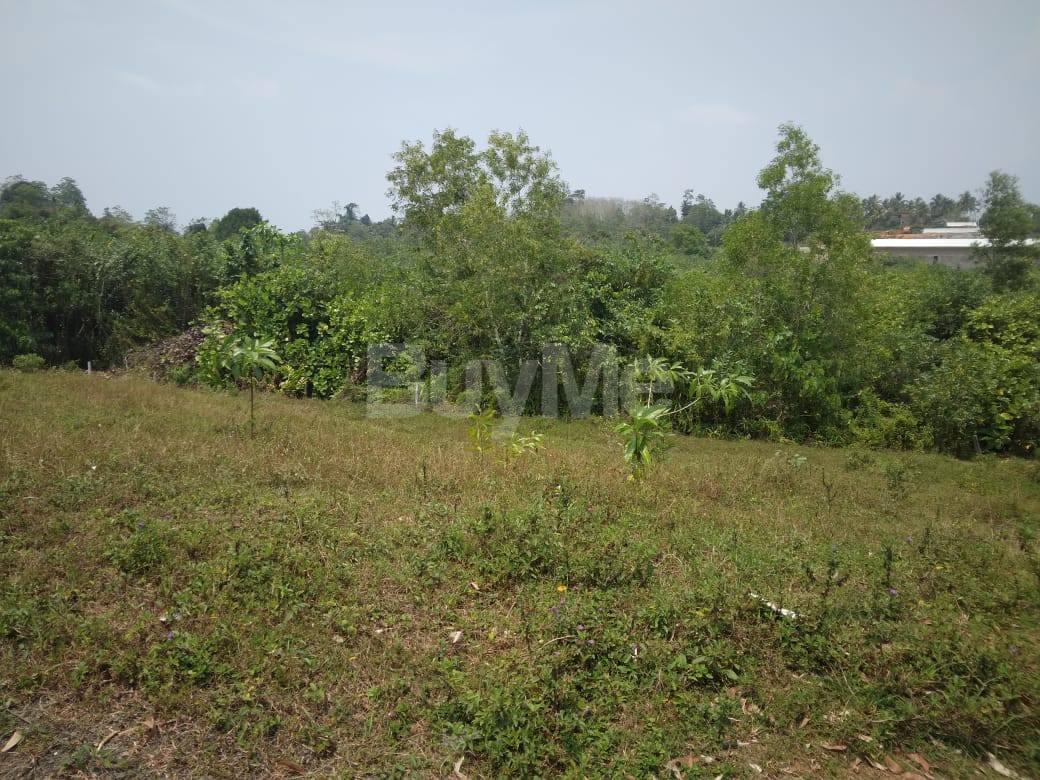 LAND FOR SALE IN KALAPUGAMA KALUTARA