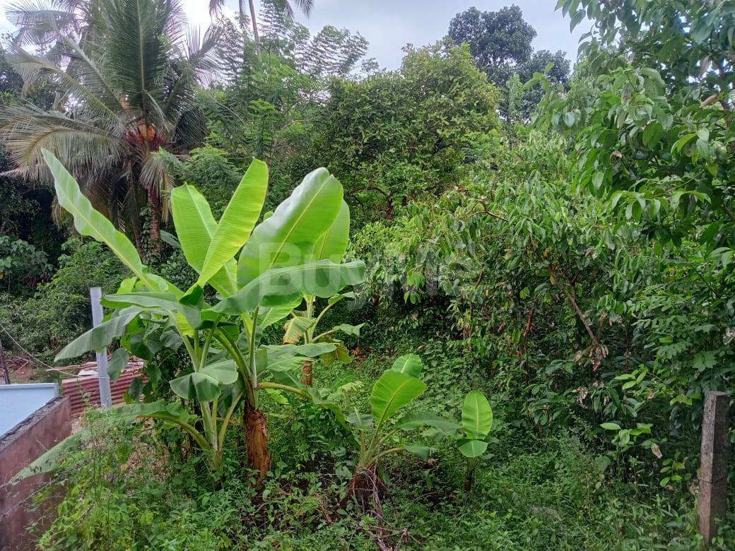 LAND FOR SALE IN THILAKAPURA, AMBALANGODA