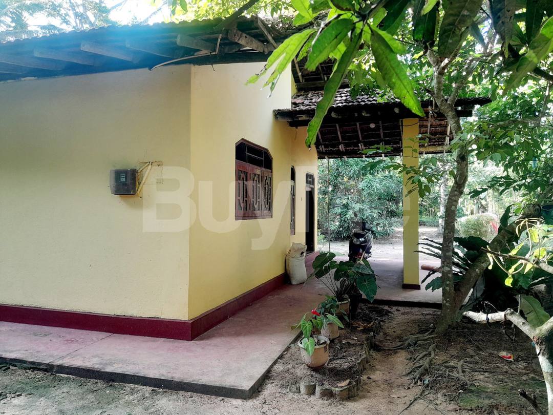 HOUSE WITH LAND FOR SALE IN SULTHANAGODA – MATARA