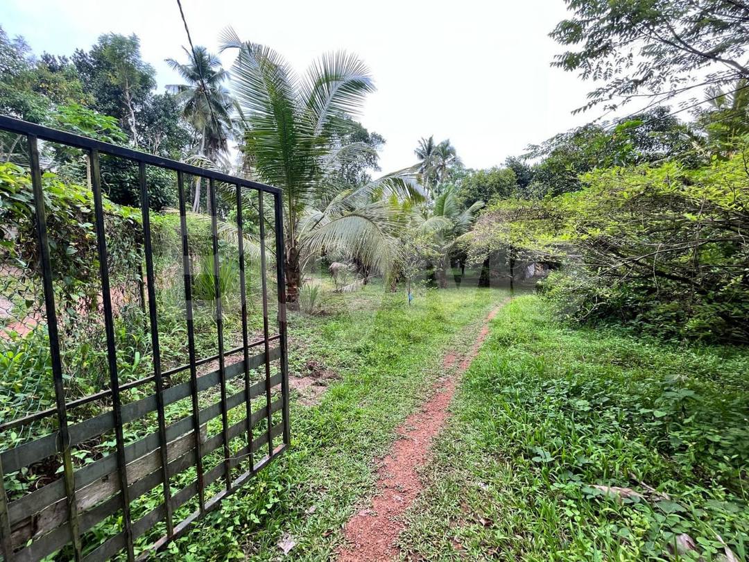 LAND FOR SALE IN PANADURA
