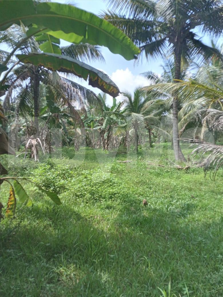 LAND FOR SALE IN KURUNEGALA
