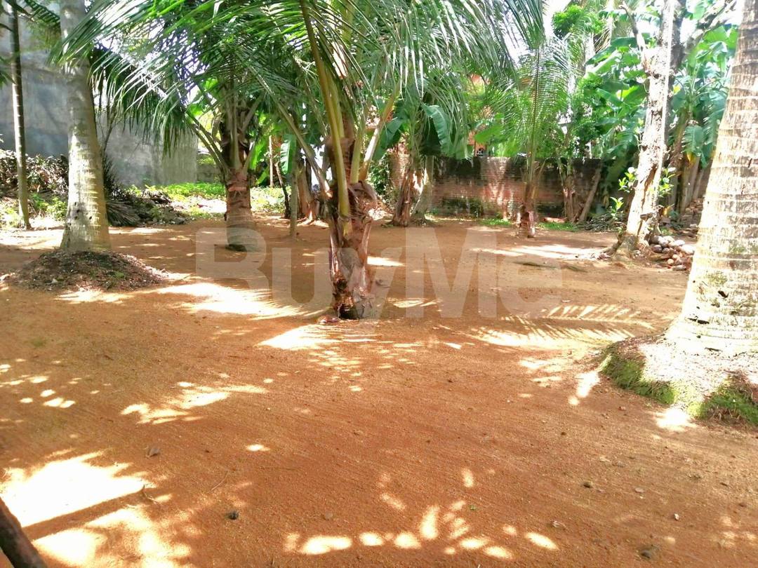 LAND FOR SALE IN KELANIYA