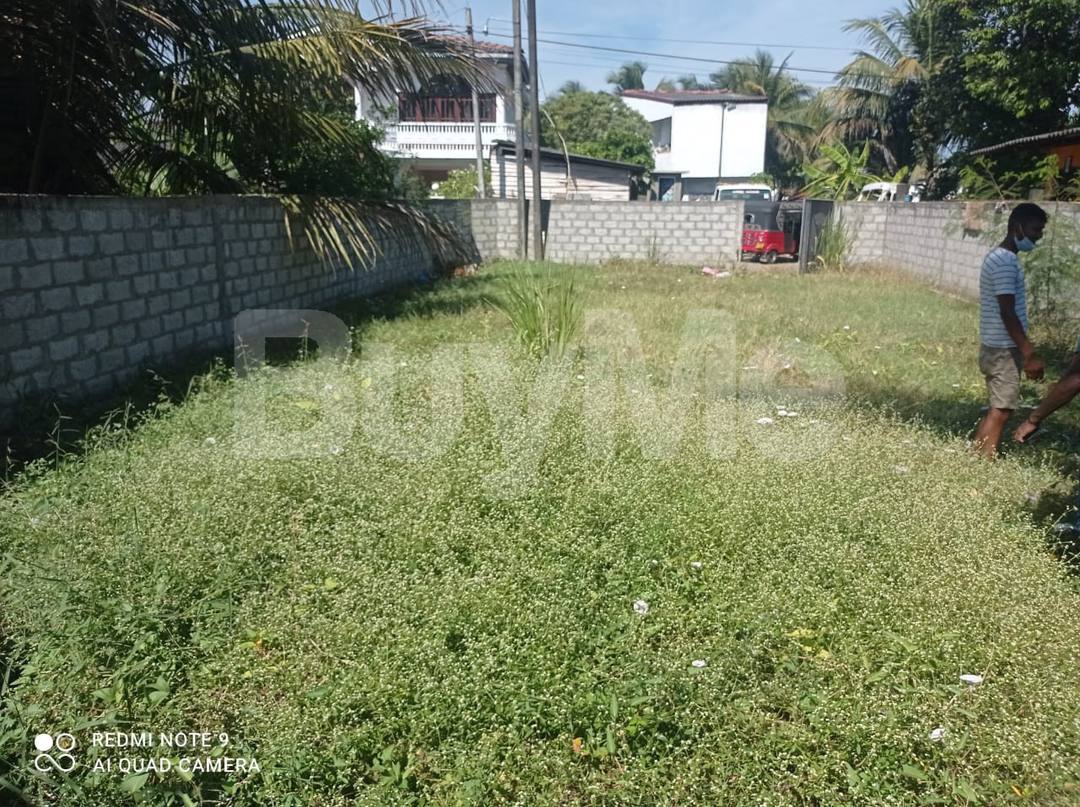 LAND FOR SALE IN WATTALA HENDALA , RABARWATTA.