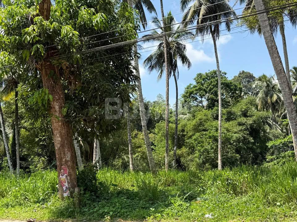 LAND FOR SALE IN MORAWAKA PORUPITIYA
