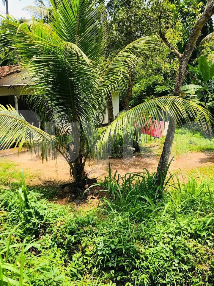 HOUSE FOR SALE WITH LAND IN GANEMULLA