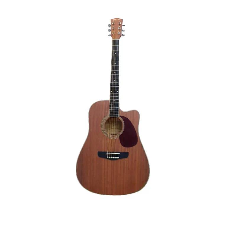 DEVISER ACOUSTIC GUITAR WITH COVER L-807-N
