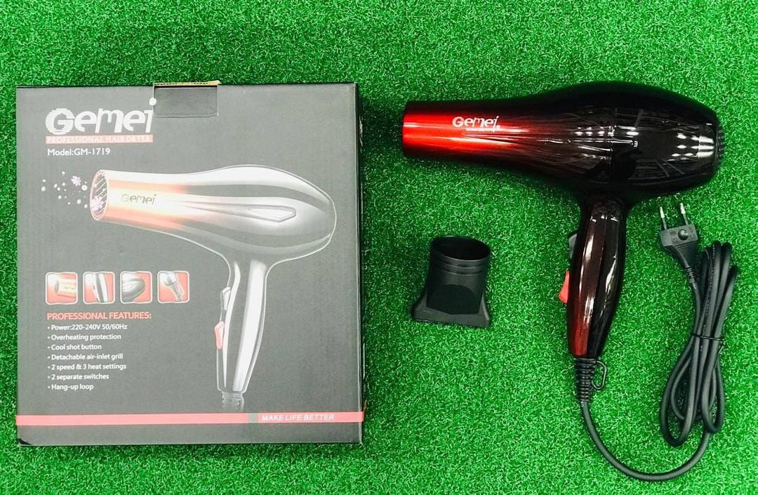 GEMEI 1719 HAIR DRYER (P00571)