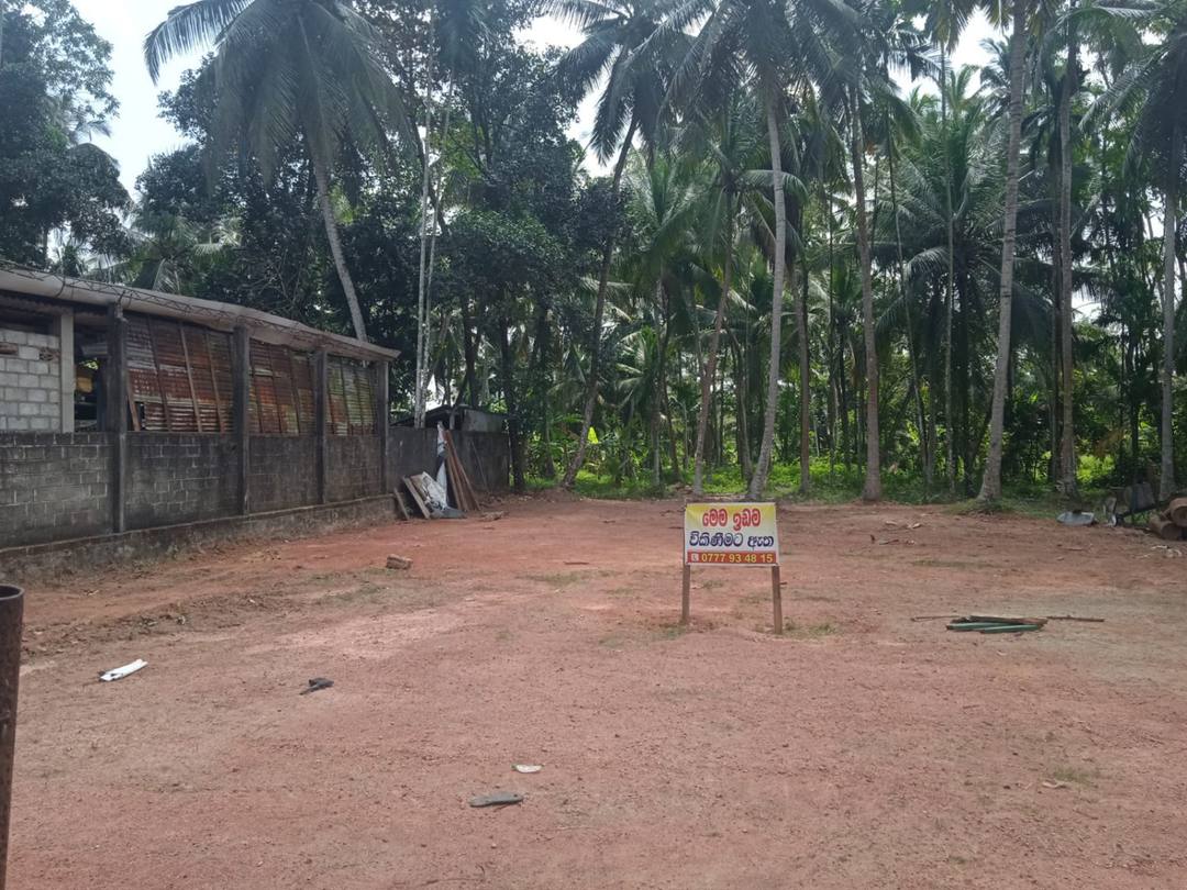 LAND FOR SALE IN KADAWALA KATANA