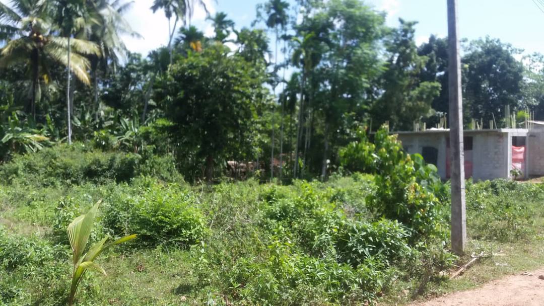 TWO LAND PLOTS FOR SALE IN MEEGODA