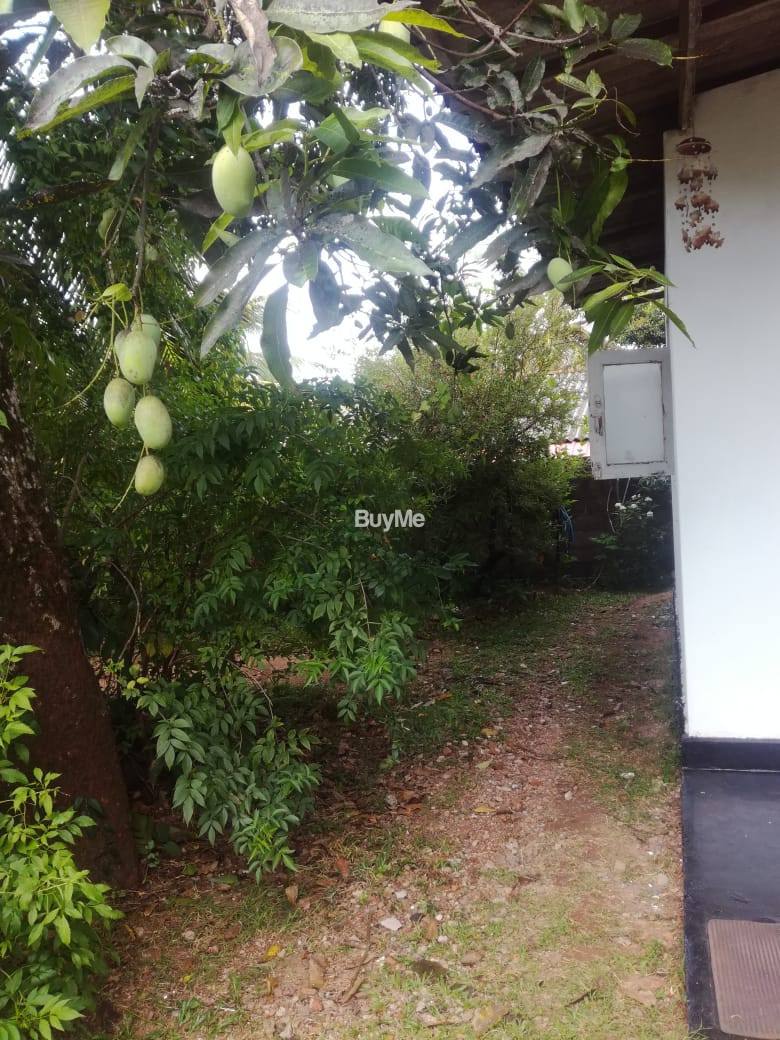 LAND & HOUSE FOR SALE