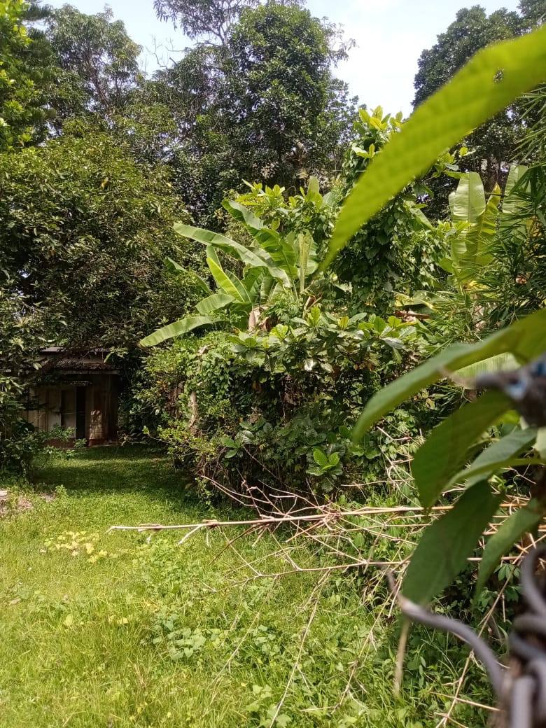 LAND FOR SALE IN MINUWANGODA