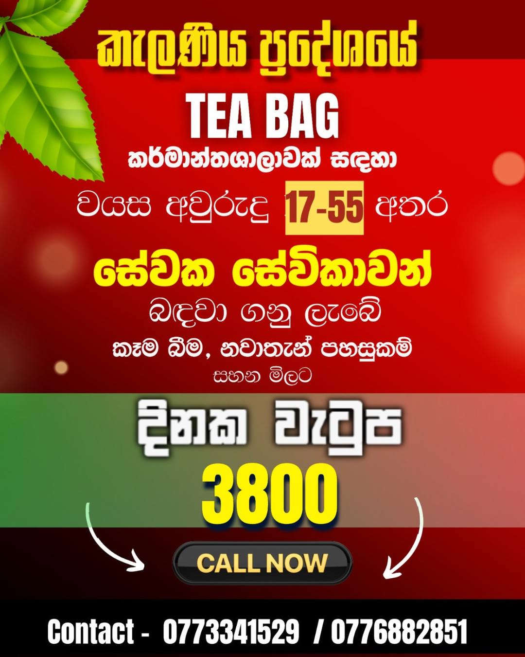 VACANCY FOR TEA BAG FACTORY