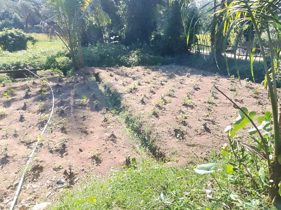 LAND FOR SALE IN HORANA BATAGODA