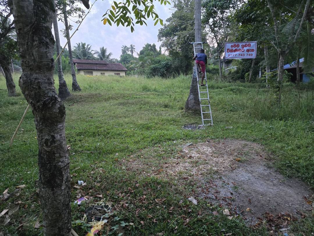 LAND FOR SALE KALAGEDIHENA GAMPAHA