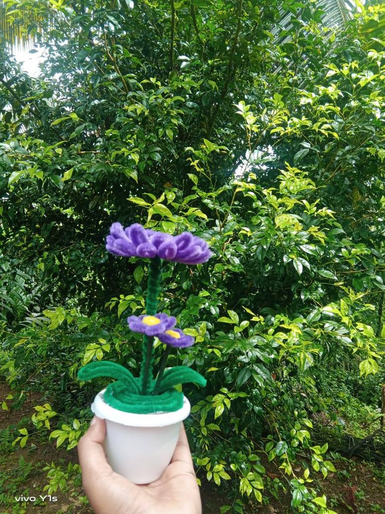 MINI POT