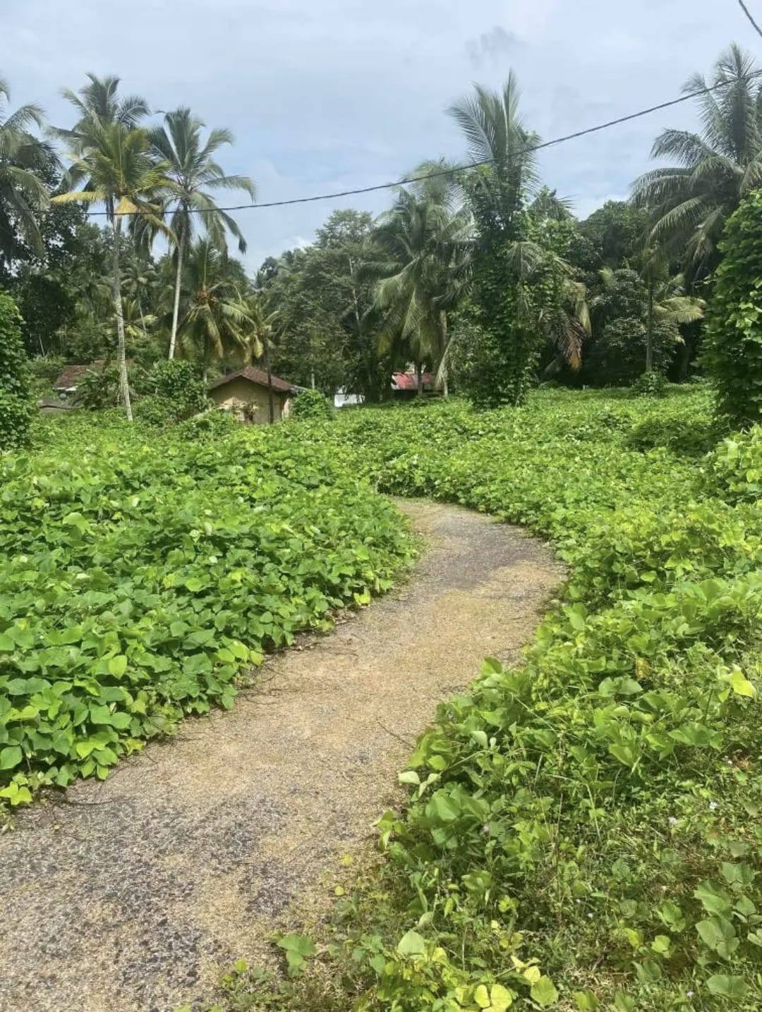 10.3-PERCH LAND FOR SALE IN HORANA