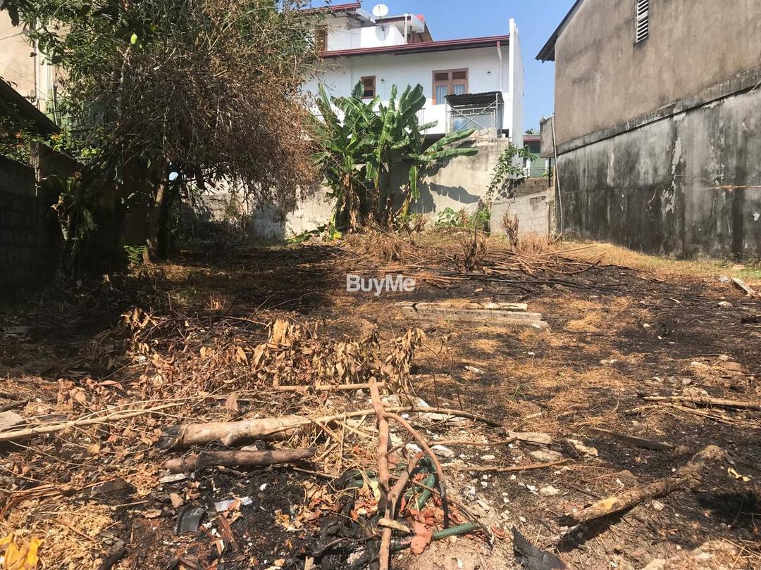 MAGNIFICENT LAND FOR SALE LOCATED ON KASBEWA - 14TH POST - KUDAMADUWA ROAD