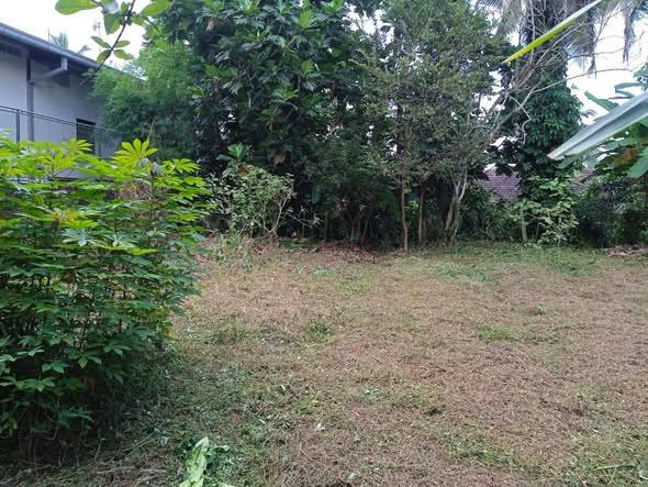 2 PLOTS OF LAND FOR SALE IN WELIWERIYA