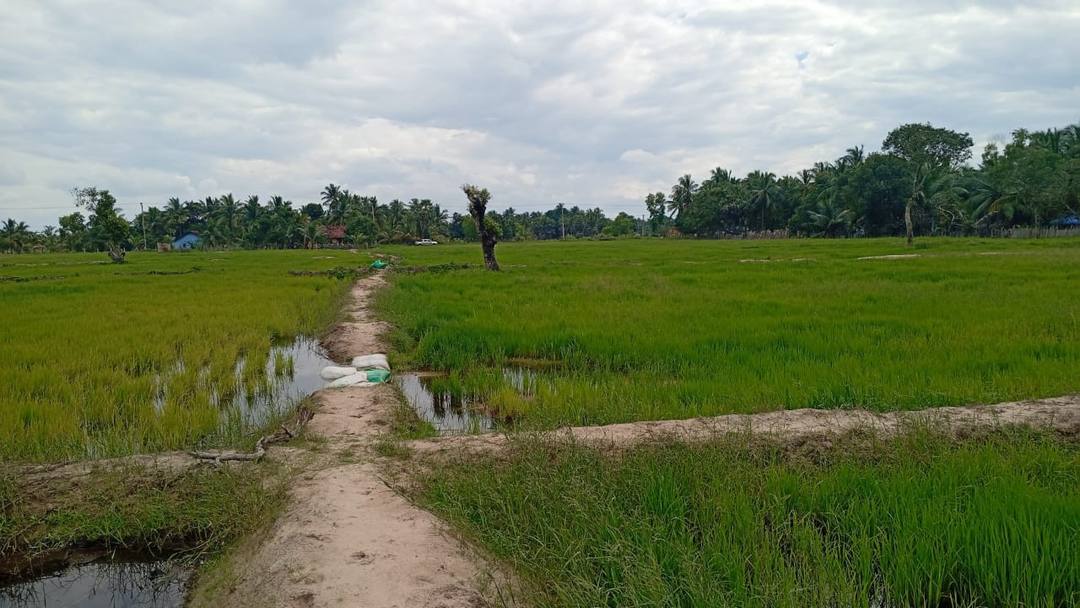 25 ACRES LAND FOR SALE IN VAHARAI BATTICALOA