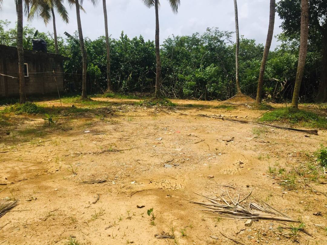 38-PERCH LAND FOR SALE IN KADUWELA
