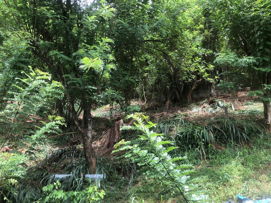 VALUABLE LAND FOR SALE IN HEERASSAGALA ROAD, KANDY