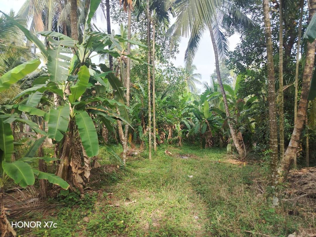 LAND FOR SALE IN DOMPE