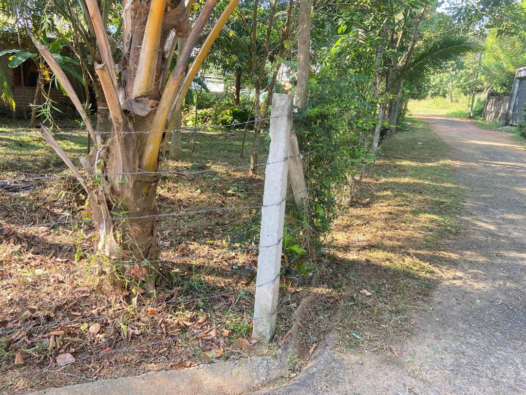 LAND FOR SALE IN MAGAMMANA, HOMAGAMA
