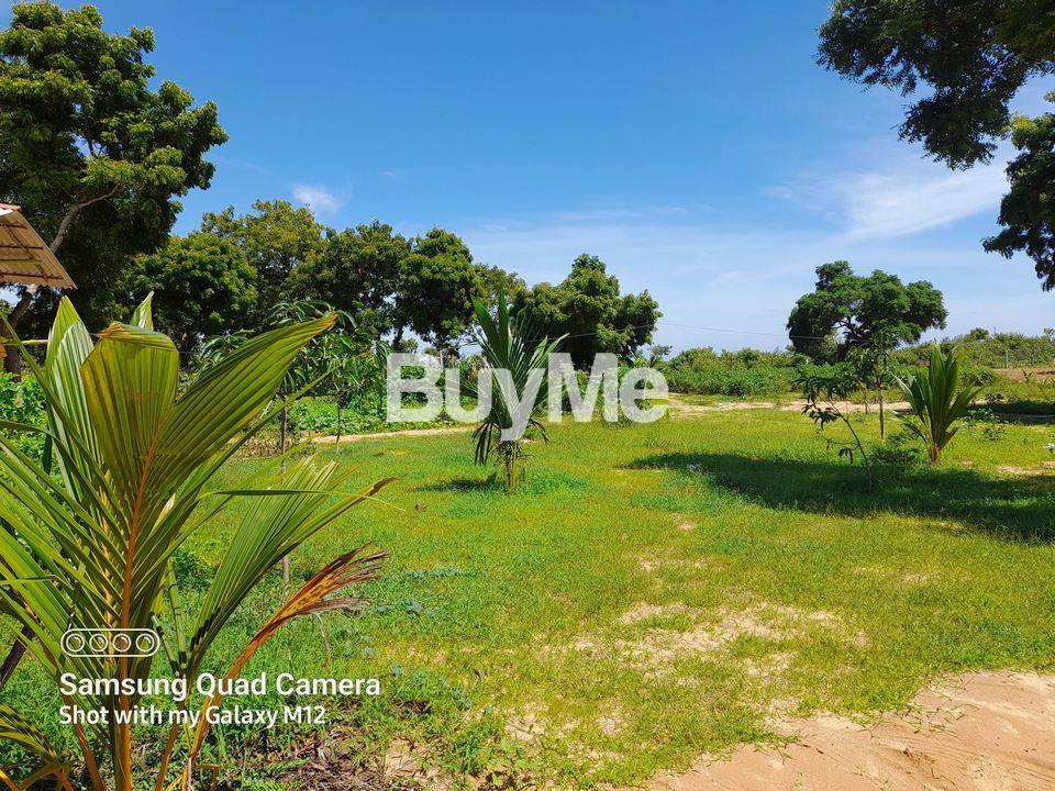 BEACHFRONT LAND FOR SALE IN KOMARI, ARUGAMBEY