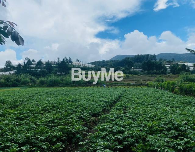 Beautiful View Land for Sale Meepilimana