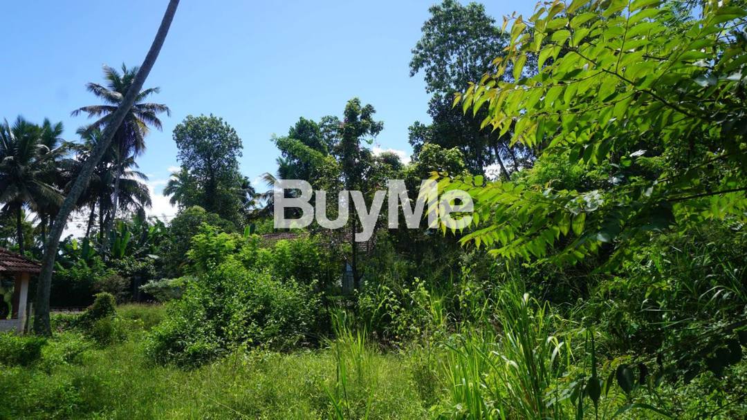 URGENT SALE: PRIME LAND NEXT TO BERAGALA MAIN ROAD
