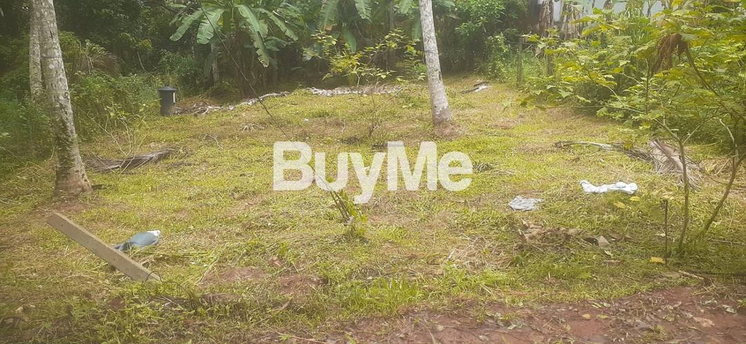 ගම්පහ - ගුවන්තොටුපොළ ප්‍රධාන පාරේ සිට මීටර 100 ප්ර්චස් 15.5 ක ඉඩම