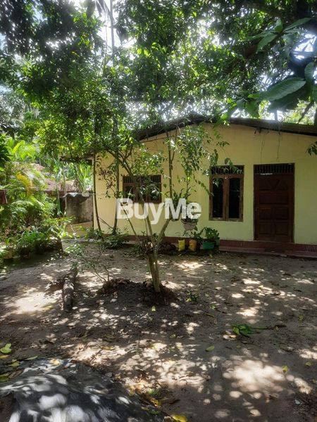 LAND AND OLD HOUSE FOR SALE IN KADAWATHA STF ROAD