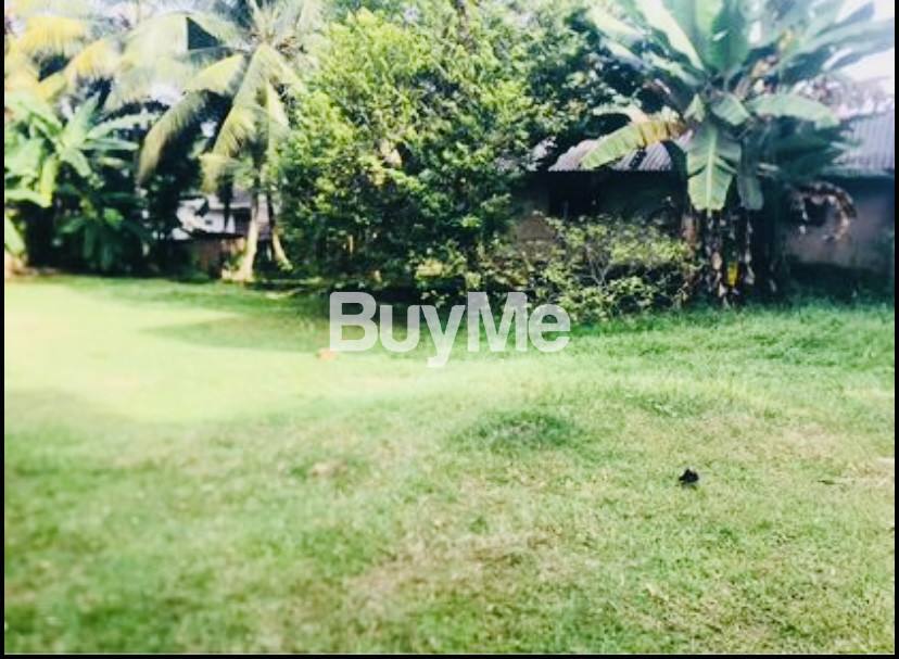 පර්චස් 65 ඉඩම කඩිනම් විකීණීමට