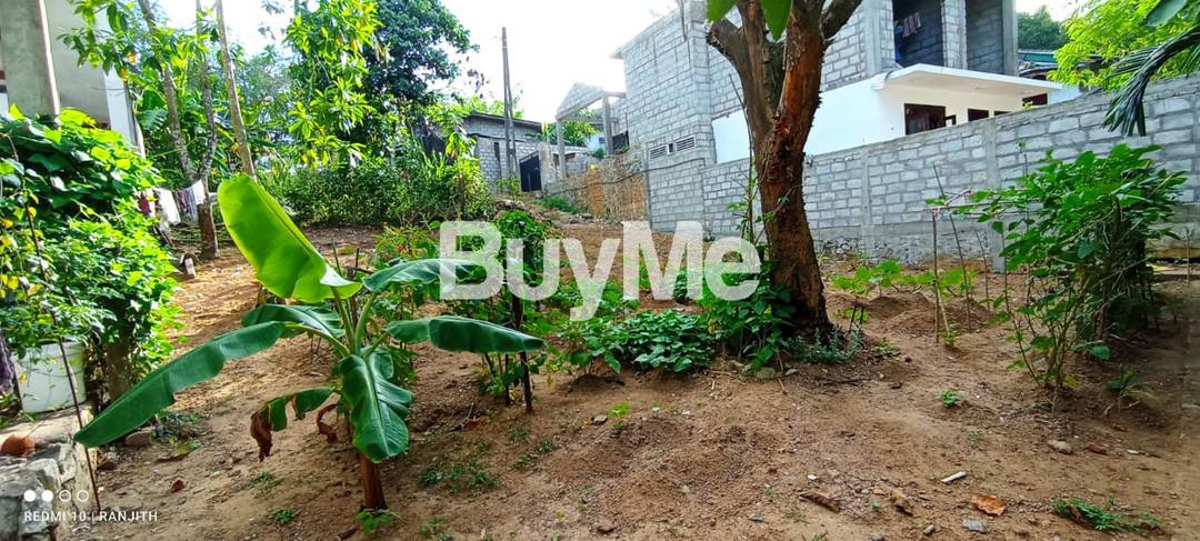 LAND FOR SALE - HOMAGAMA GODAGAMAGE WATHTHA RD