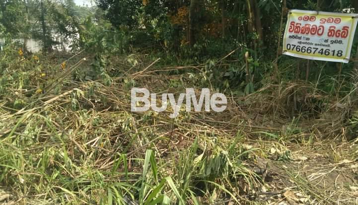 LAND FOR SALE IN PANNIPITIYA - FACING JANA JAYA MW