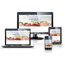 WEB STARTUP PACKAGE - RK