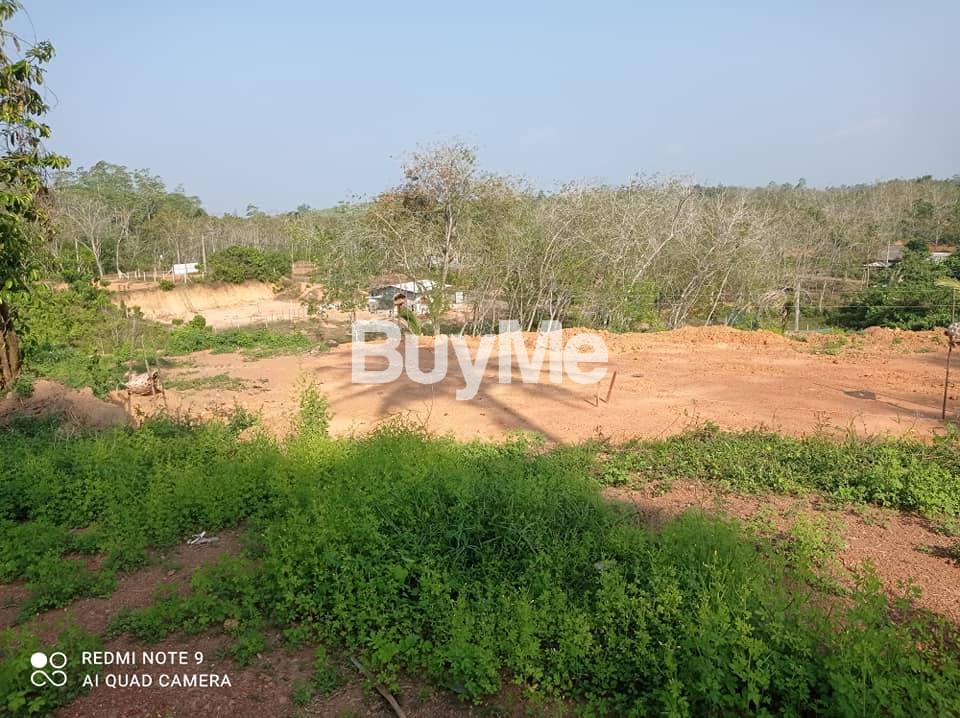 BEAUTIFUL AND PEACEFUL AREA'S LAND FOR SALE IN BERUWALA