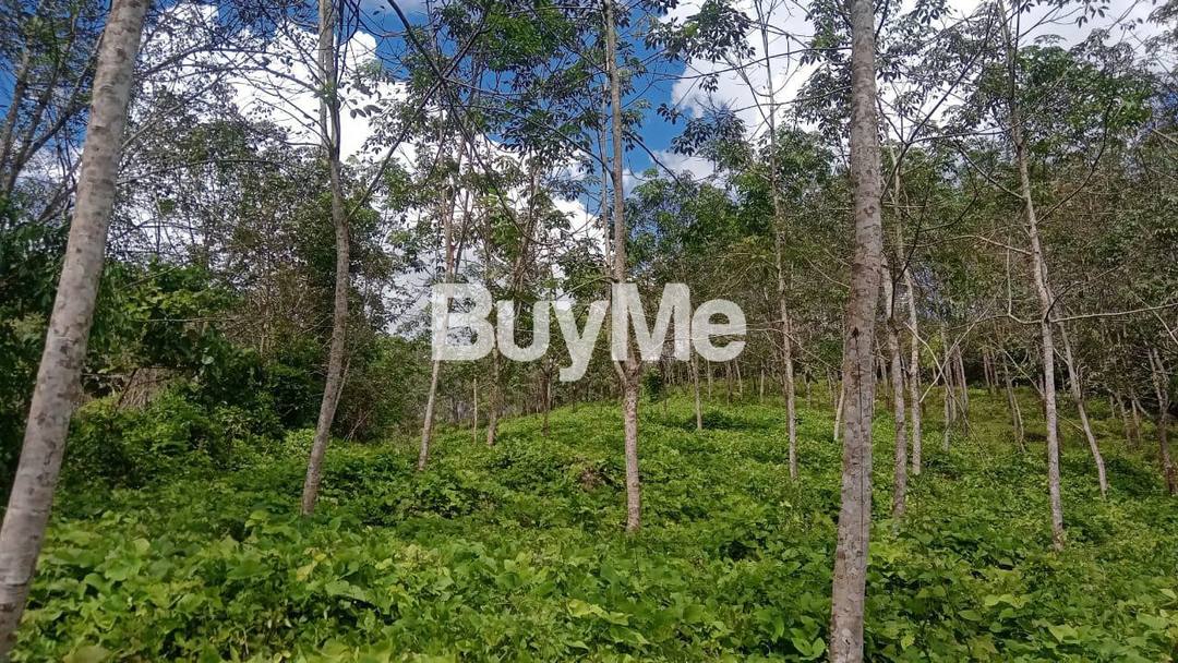 LAND FOR SALE IN AVISSAWELLA ,PUWAKPITIYA