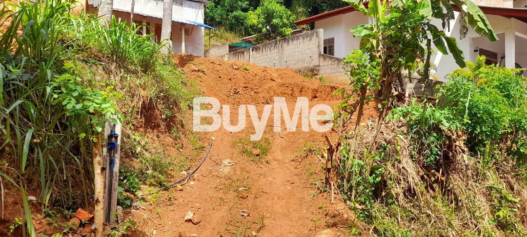 LAND FOR SALE IN KALUDEWALA