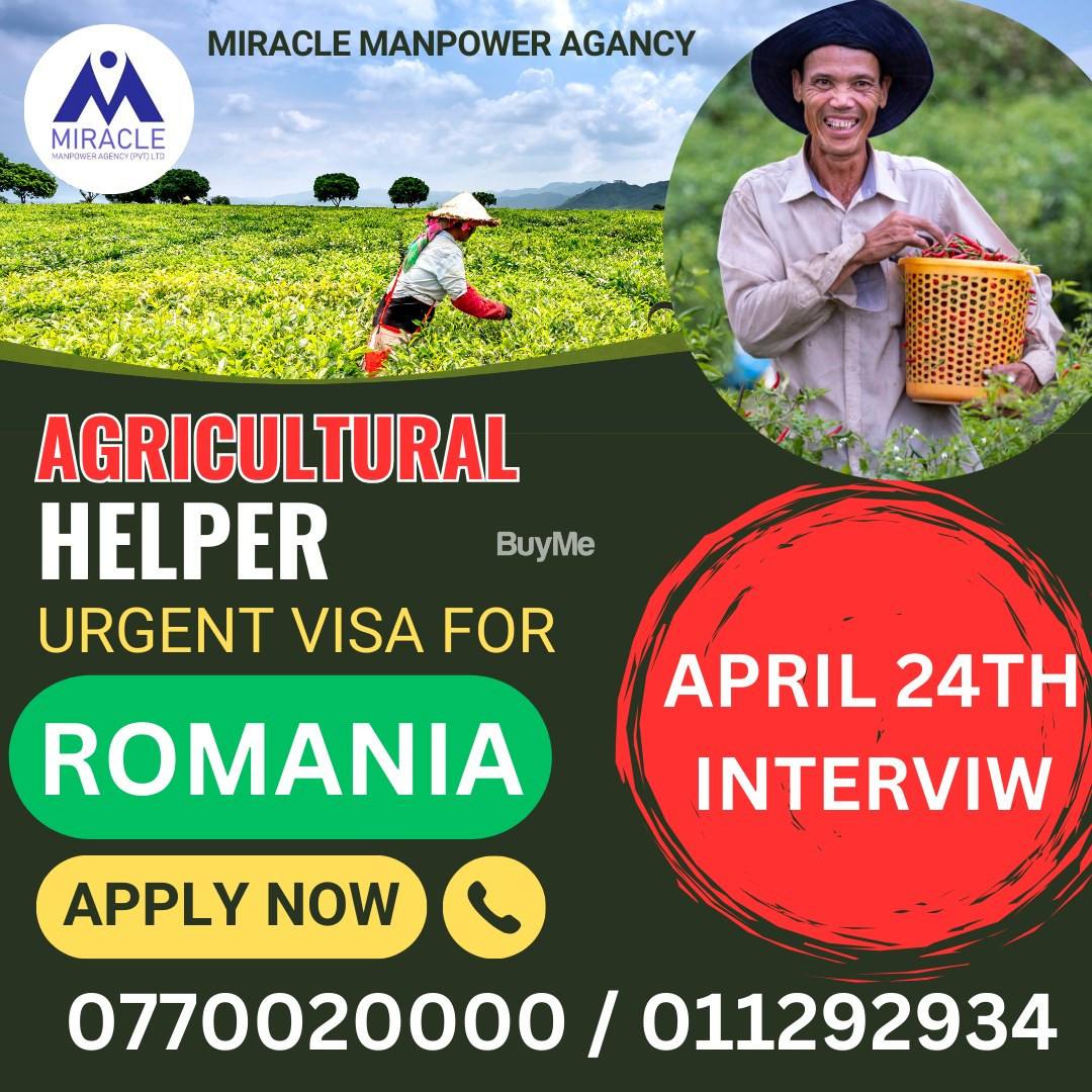 OVERSEAS JOBS FOR AGRICULTURAL HELPER IN ROMANIA