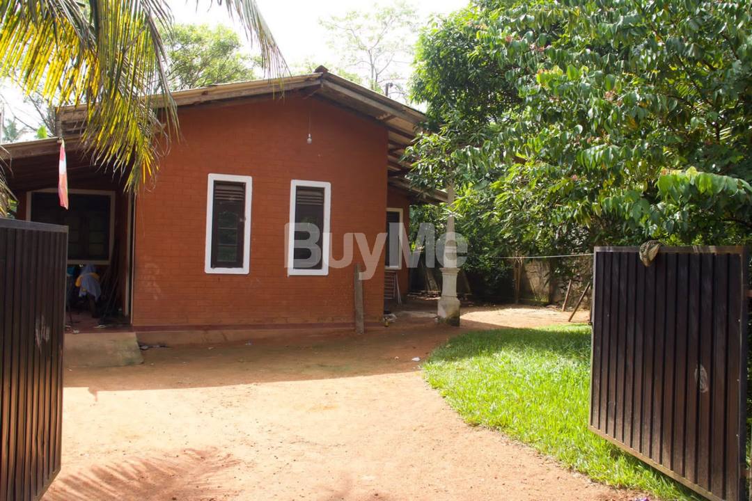HOUSE FOR RENT IN PANADURA NEAR JANAPADA