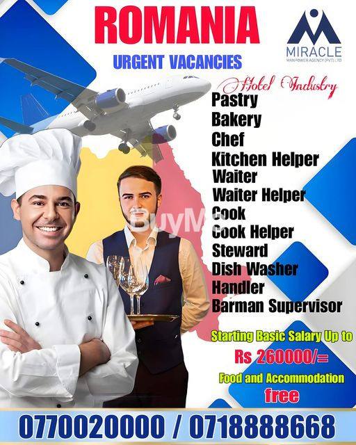 OVERSEAS JOBS FOR HOTEL INDUSTRY IN ROMANIA