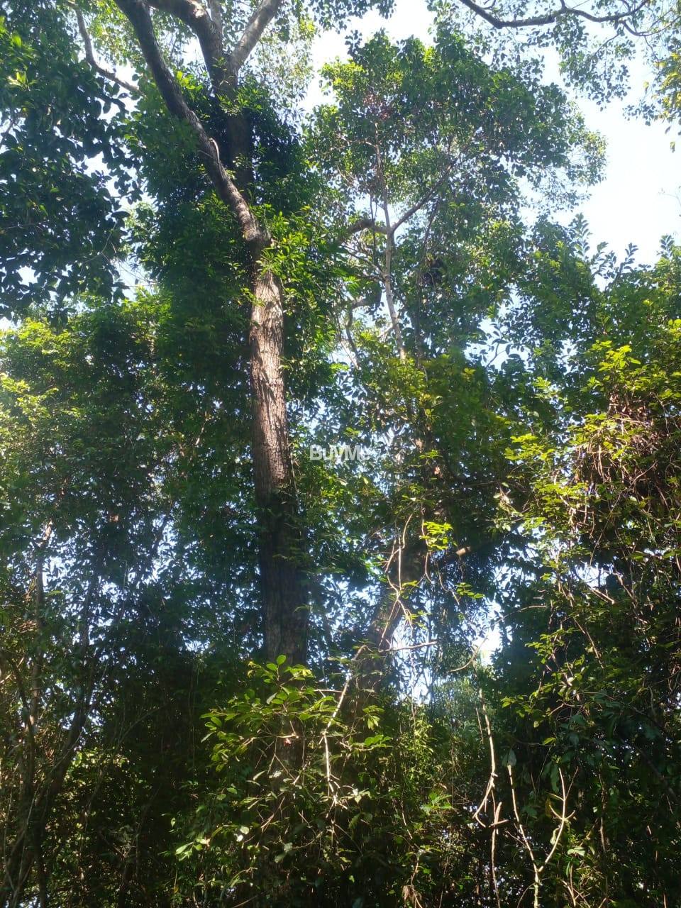 LAND FOR SALE IN BELIATTA