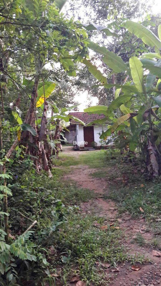 LAND WITH HOUSE FOR SALE IN GAMPAHA, AKARAVITA