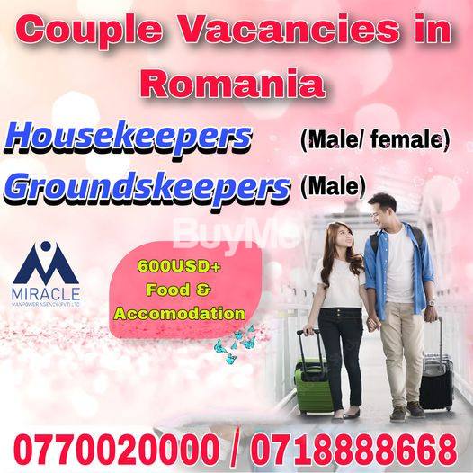 COUPLE VACANCIES IN ROMANIA (HOUSEKKEPERS / GROUNDSKEEPERS)