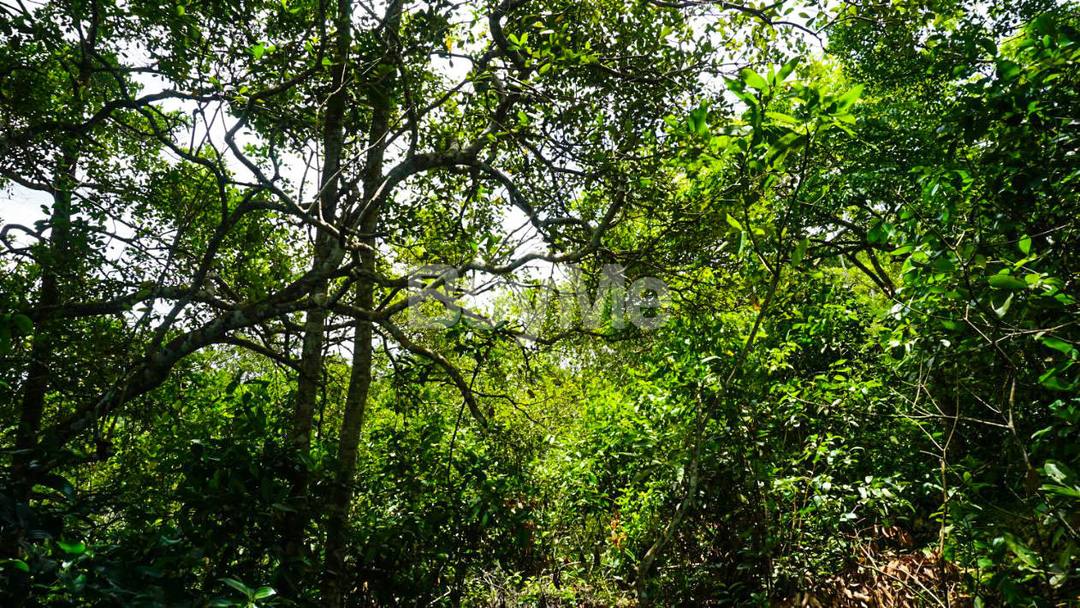 LAND FOR SALE AT NUGAWELA, KANDY