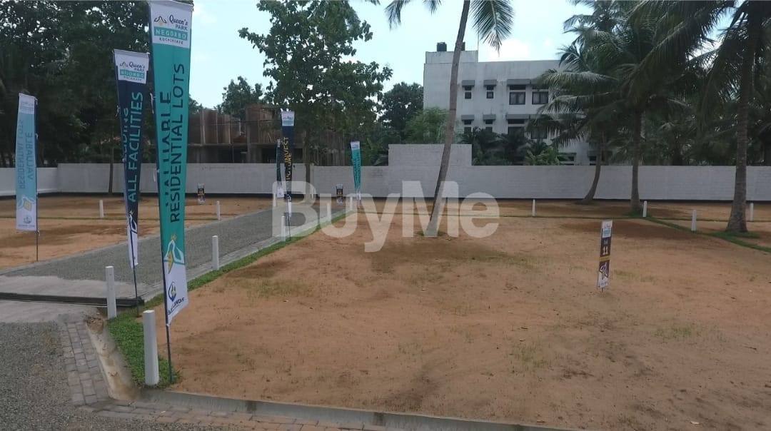 LAND FOR SALE NEGOMBO KOCHCHIKADE (QUEEN'S PARK) BY SAVI LANDS