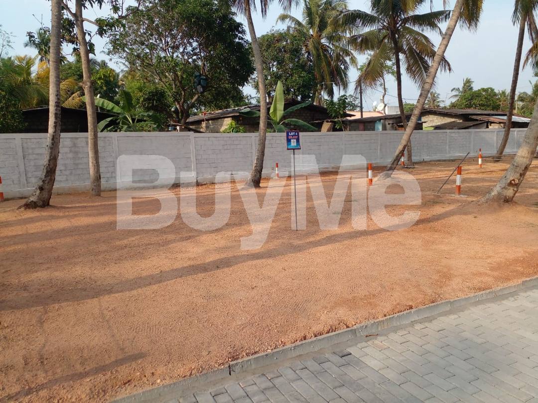 LAND FOR SALE IN WATTALA - SAVI LANDS
