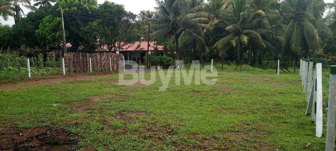 මත්තේගොඩ කොට්ටාව ප්‍රදේශයෙන් ඉඩමක් විකිණීමට