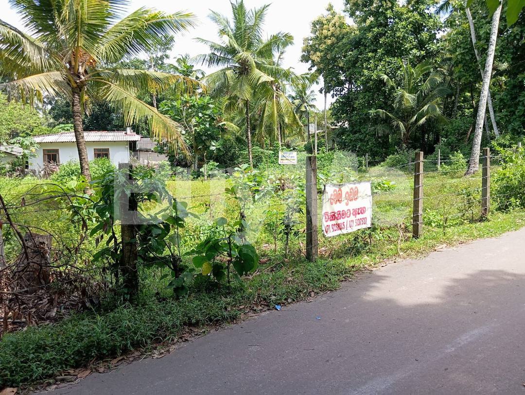 RESIDENTIAL / COMMERICAL & VALUABLE LAND FOR SALE IN KATUNAYAKA AT ANDIAMBALAMA